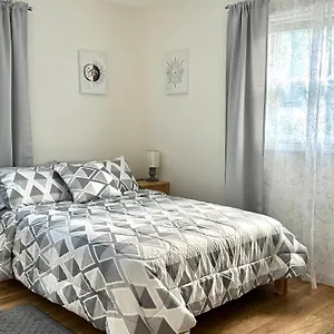 Cozy Near Busch Gardens , Tampa United States